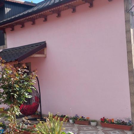Pensiunea Happy Flowers Greci Exterior foto