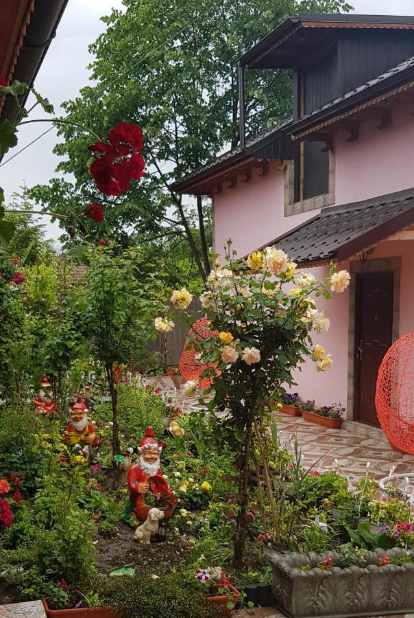 Pensiunea Happy Flowers Greci Exterior foto