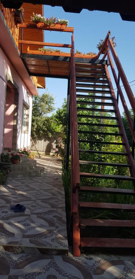 Pensiunea Happy Flowers Greci Exterior foto