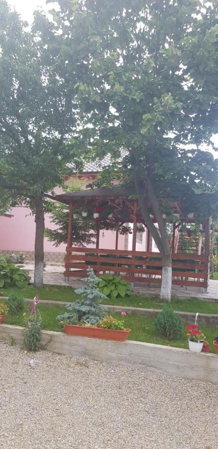Pensiunea Happy Flowers Greci Exterior foto