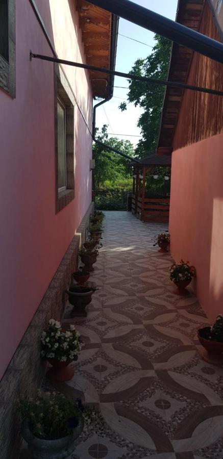 Pensiunea Happy Flowers Greci Exterior foto