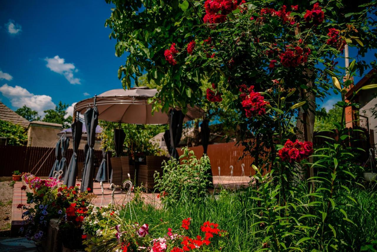 Pensiunea Happy Flowers Greci Exterior foto