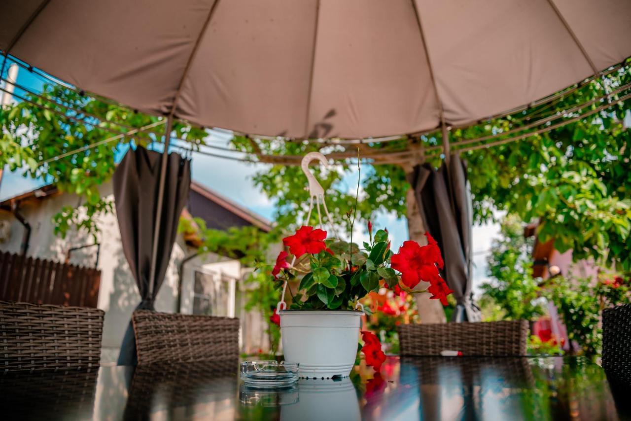 Pensiunea Happy Flowers Greci Exterior foto