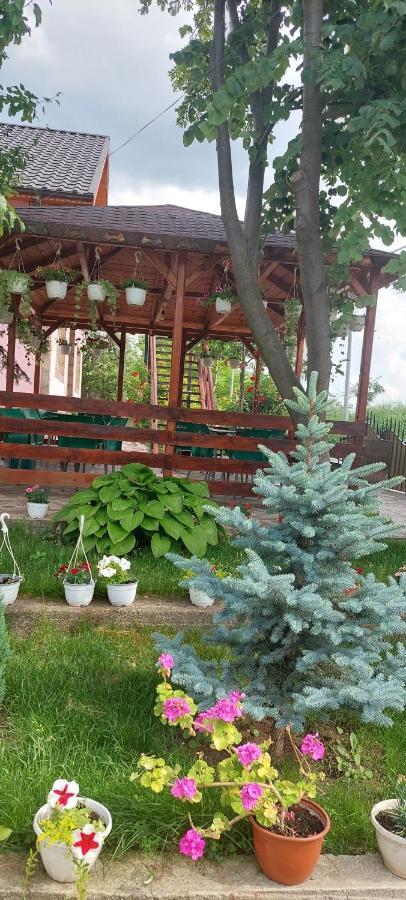 Pensiunea Happy Flowers Greci Exterior foto