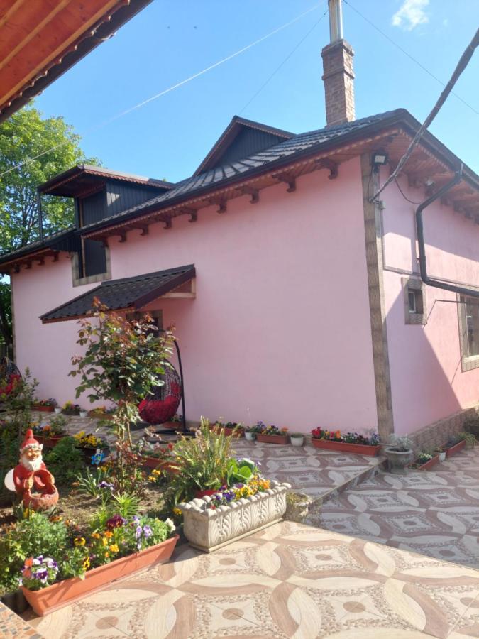 Pensiunea Happy Flowers Greci Exterior foto