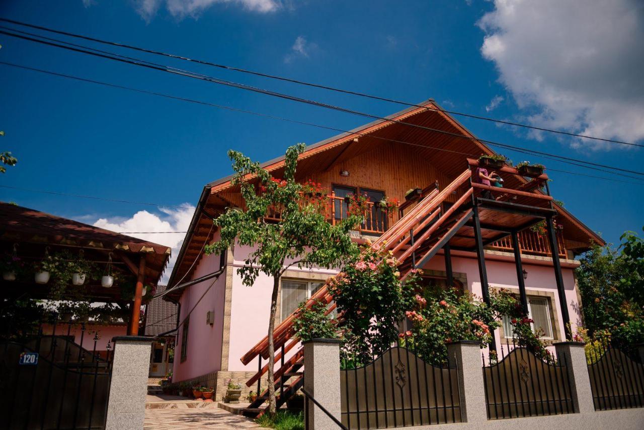 Pensiunea Happy Flowers Greci Exterior foto