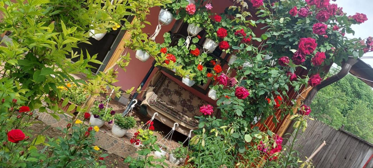Pensiunea Happy Flowers Greci Exterior foto