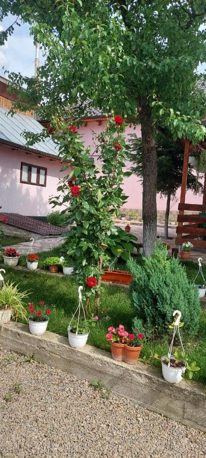 Pensiunea Happy Flowers Greci Exterior foto