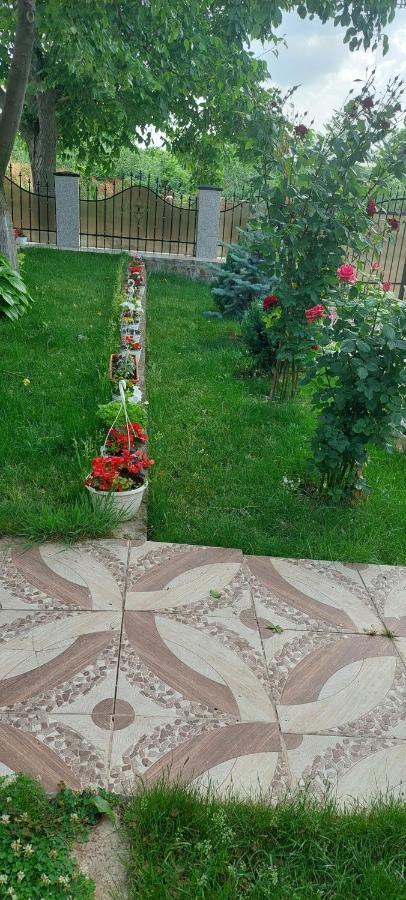 Pensiunea Happy Flowers Greci Exterior foto