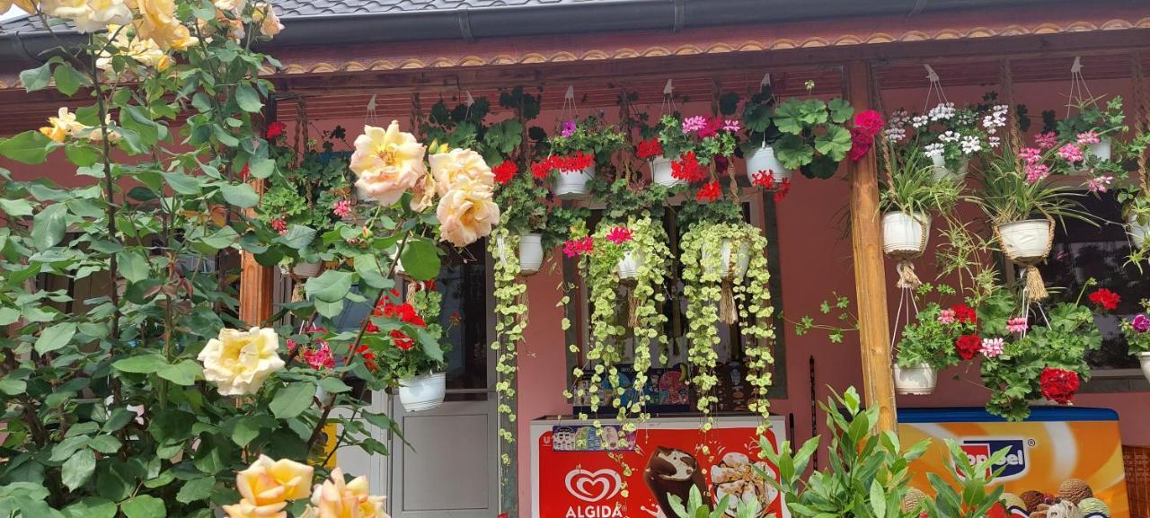 Pensiunea Happy Flowers Greci Exterior foto