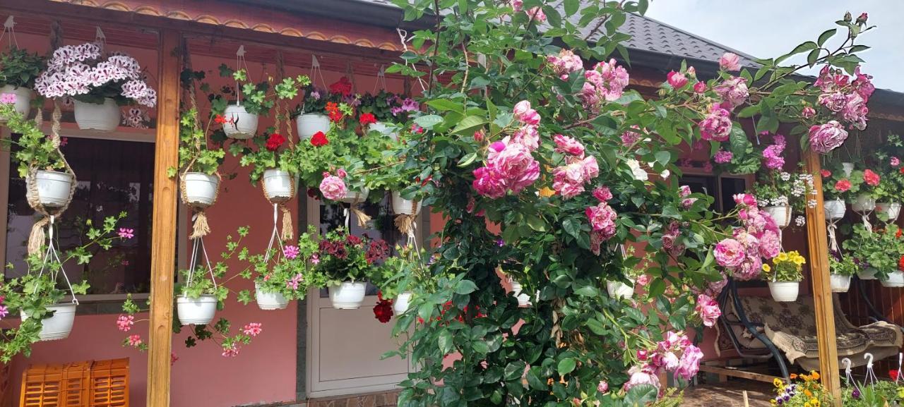Pensiunea Happy Flowers Greci Exterior foto