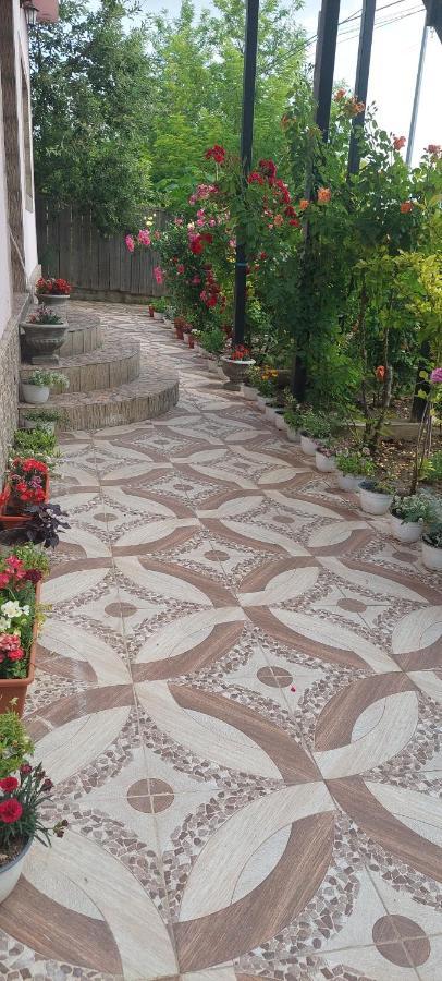Pensiunea Happy Flowers Greci Exterior foto