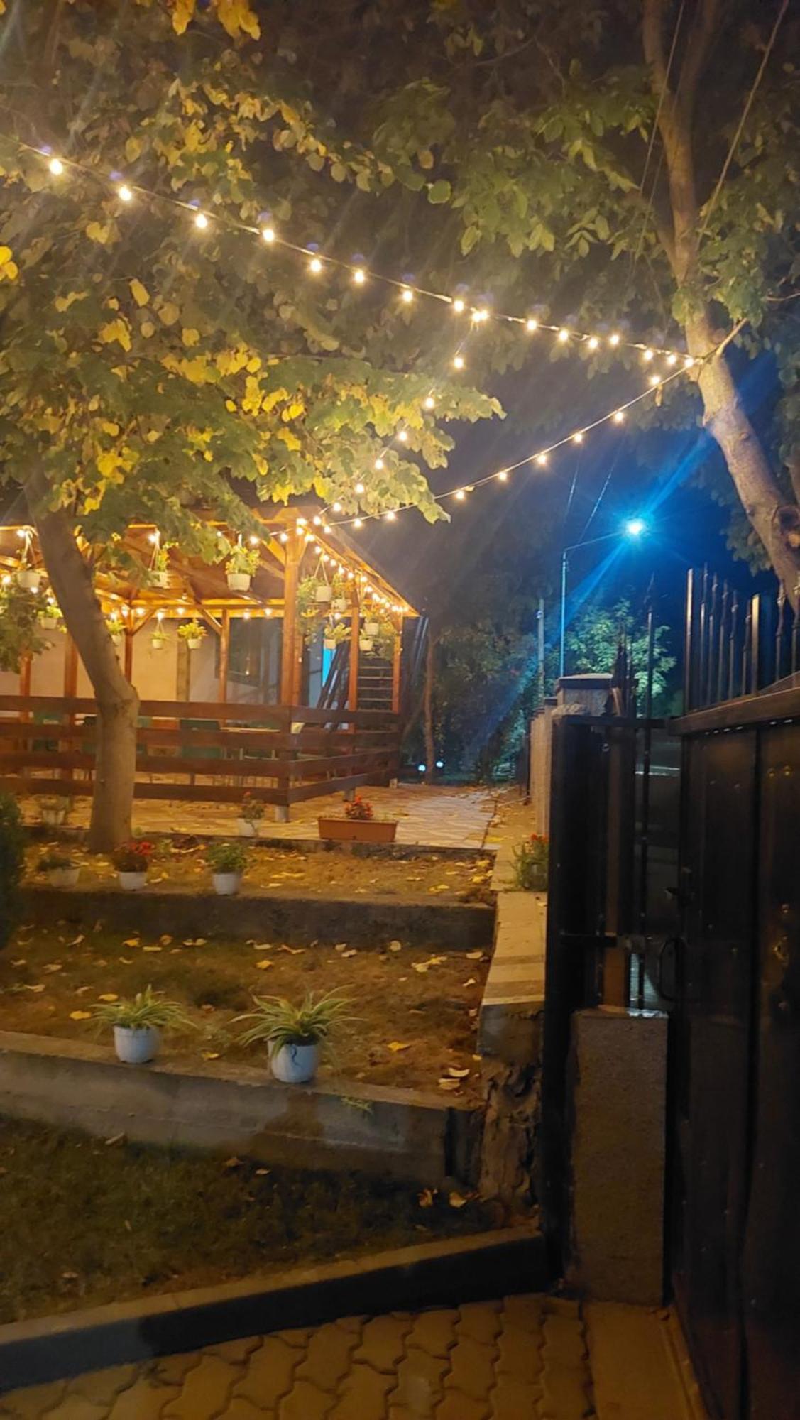 Pensiunea Happy Flowers Greci Exterior foto