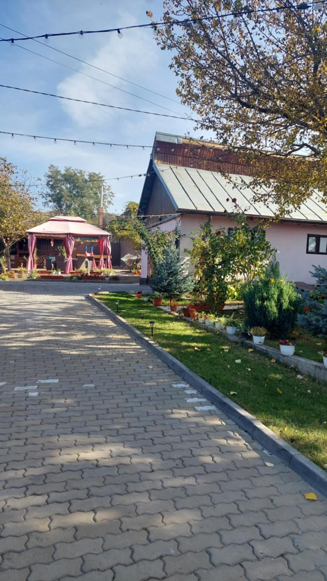 Pensiunea Happy Flowers Greci Exterior foto