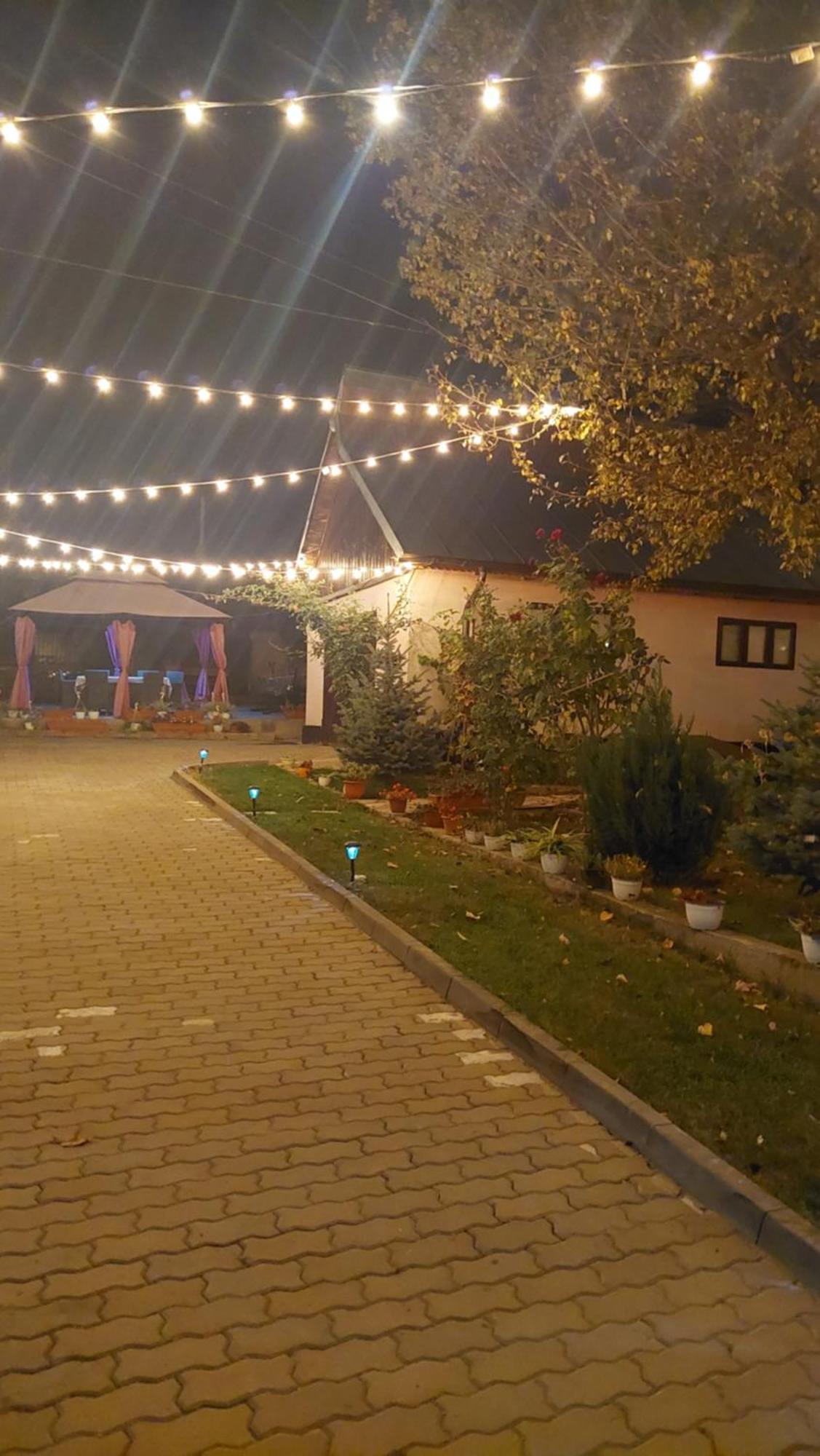 Pensiunea Happy Flowers Greci Exterior foto