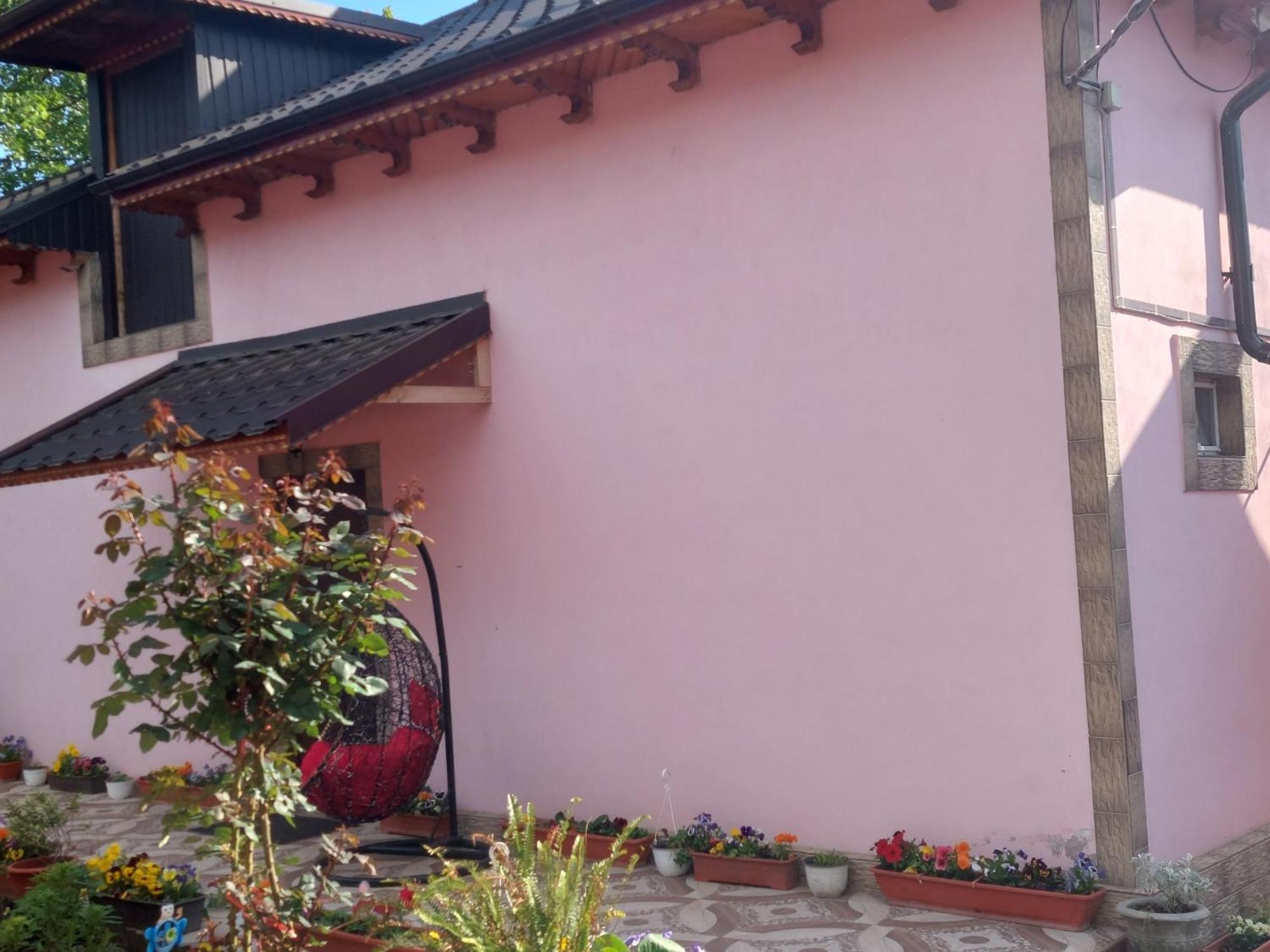 Pensiunea Happy Flowers Greci Exterior foto