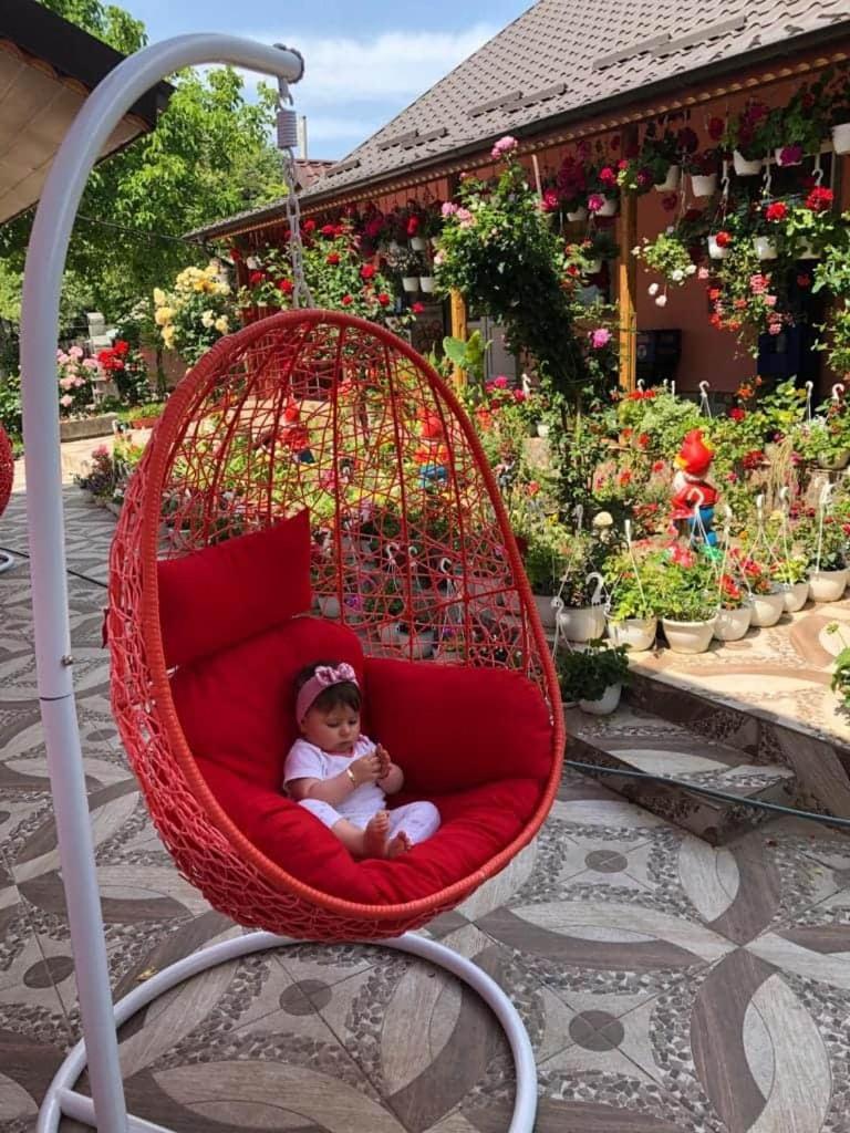 Pensiunea Happy Flowers Greci Quarto foto